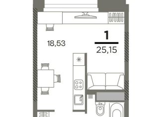 Продам 1-комнатную квартиру, 25.2 м2, Рязань