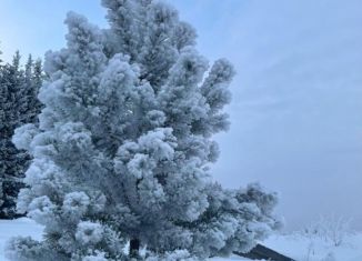 Продажа участка, 30 сот., деревня Тимофеево