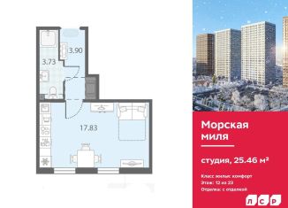 Продажа квартиры студии, 25.5 м2, Санкт-Петербург, метро Проспект Ветеранов