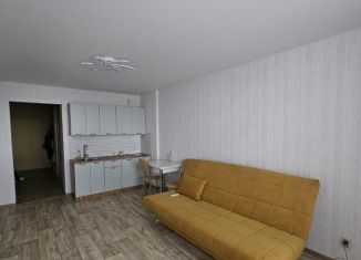 Квартира в аренду студия, 34 м2, Новосибирск, улица Зорге, 229/1