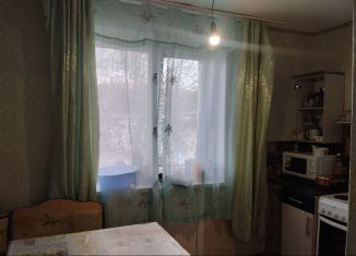 Аренда двухкомнатной квартиры, 48 м2, Челябинская область, Насосная улица, 28