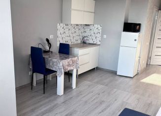 Сдам квартиру студию, 22.8 м2, Екатеринбург, улица Лыжников, 3