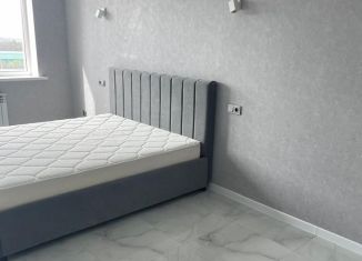 Однокомнатная квартира в аренду, 54 м2, Лермонтов, проспект Лермонтова, 7