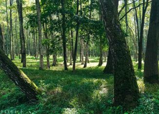 Земельный участок на продажу, 29.5 сот., поселок Николина Гора, Дмитровская улица, 16