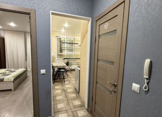 Сдам в аренду 1-комнатную квартиру, 40 м2, Краснодар, улица имени Дмитрия Благоева, 31к1, Карасунский округ