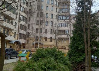 Сдаю в аренду 2-ком. квартиру, 65 м2, Санкт-Петербург, Пушкарский переулок, 9, муниципальный округ Кронверкское