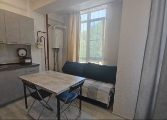 Сдается в аренду квартира студия, 30 м2, посёлок городского типа Дагомыс, Армавирская улица, 20Ак3, ЖК Кватро