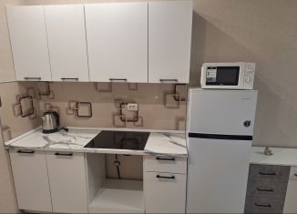 Сдам в аренду 2-ком. квартиру, 48 м2, Краснодар, Домбайская улица, 55к8, микрорайон ККБ