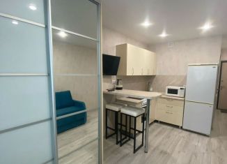 Сдача в аренду квартиры студии, 25 м2, Тюмень, улица Тимофея Чаркова, 28, ЖК Новый Мыс 3.0