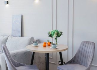 Продаю квартиру студию, 30.2 м2, Новосибирск, микрорайон Горский, 14, метро Речной вокзал