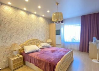 1-ком. квартира в аренду, 43 м2, Санкт-Петербург, Прибрежная улица, 10к3