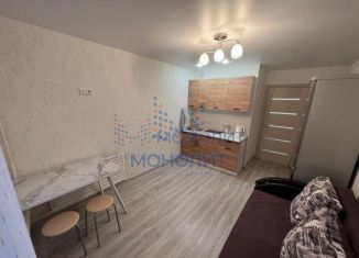 Сдам в аренду однокомнатную квартиру, 38 м2, Чебоксары, улица Мате Залка, 14, Московский район