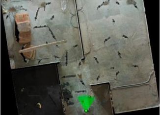 Многокомнатная квартира на продажу, 34.7 м2, Химки