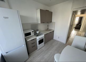 Сдается 3-ком. квартира, 61 м2, Свердловская область, улица Белинского, 135