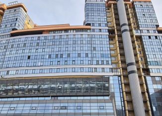 Аренда помещения свободного назначения, 263 м2, Санкт-Петербург, улица Матроса Железняка, 57, метро Пионерская