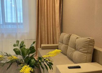 Сдам квартиру студию, 27.5 м2, Санкт-Петербург, улица Крыленко, 14с3, ЖК Вингз