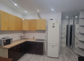 Сдается в аренду квартира студия, 26 м2, Сочи, улица Яна Фабрициуса, 23лит3, микрорайон Соболевка