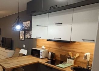 Аренда квартиры студии, 28 м2, Екатеринбург, Уктусская улица, 42