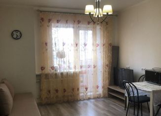 Сдам квартиру студию, 25 м2, посёлок Шушары, Новгородский проспект, 7к2