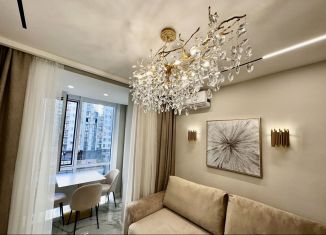 Продается 1-комнатная квартира, 45.5 м2, Сочи, переулок Трунова, 6к3, микрорайон Завокзальный