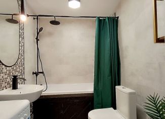 Сдаю в аренду квартиру студию, 26 м2, Екатеринбург, улица Фрунзе, 31