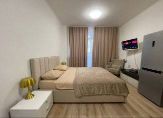 Сдаю квартиру студию, 29.8 м2, Екатеринбург, проспект Космонавтов, 7А