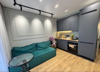 Продаю двухкомнатную квартиру, 46 м2, Сочи, переулок Трунова, 6, микрорайон Завокзальный