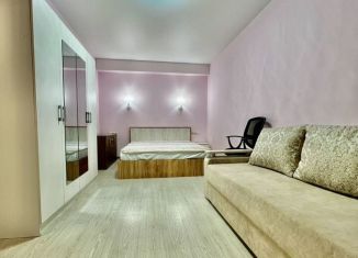 Квартира в аренду студия, 42 м2, посёлок городского типа Дагомыс, Старошоссейная улица, 5к1