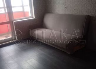 Сдаю в аренду квартиру студию, 22 м2, посёлок Шушары, Старорусский проспект, 13к1