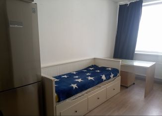 Сдаю квартиру студию, 22 м2, Екатеринбург, улица Победы, 102