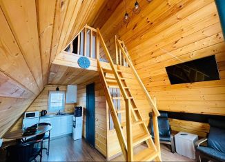 Сдача в аренду дома, 50 м2, деревня Старчики, деревня Старчики, 153