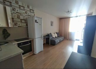 Сдача в аренду квартиры студии, 26.3 м2, Екатеринбург, улица Блюхера, 99