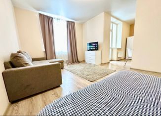Сдаю квартиру студию, 42.6 м2, Екатеринбург, улица Циолковского, 29