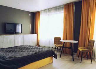 Сдается в аренду квартира студия, 35 м2, Пензенская область, улица Яшиной, 2