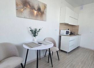 Сдается квартира студия, 32.4 м2, Екатеринбург, улица Фрунзе, 31