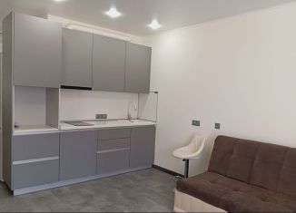 Сдаю в аренду квартиру студию, 36 м2, Новороссийск, Парковая улица, 32к92, ЖК Парковый