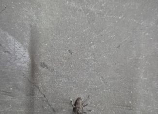 Продам гараж, 23 м2, Ульяновск, улица Ефремова, 70