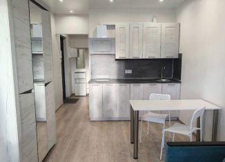 Аренда квартиры студии, 26 м2, Мурино, улица Шувалова, 40, ЖК Цвета радуги