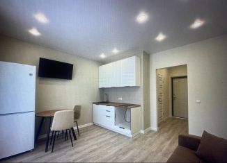 Продается квартира студия, 29.5 м2, Санкт-Петербург, улица Типанова, 22, муниципальный округ Гагаринское