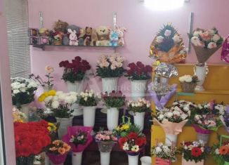 Помещение свободного назначения на продажу, 28.1 м2, село Левокумка, Мостовая улица, 12