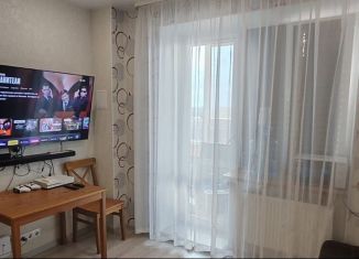 Квартира в аренду студия, 27 м2, Сыктывкар, Петрозаводская улица, район Орбита