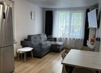 Однокомнатная квартира на продажу, 46.1 м2, Санкт-Петербург, улица Фёдора Котанова, 13к2, ЖК Светлый Мир Жизнь