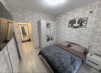 2-комнатная квартира в аренду, 41 м2, Карелия, Лыжная улица, 13