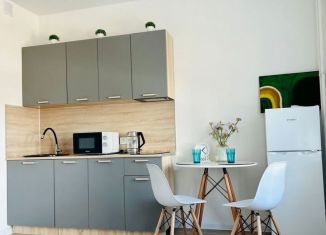 Продажа квартиры студии, 21.3 м2, Мытищи, 1-й Стрелковый переулок, 1, ЖК Мытищи Парк