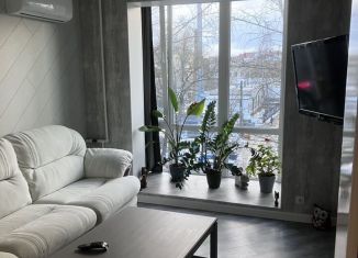 Сдается в аренду двухкомнатная квартира, 48 м2, Калуга, улица Фридриха Энгельса, 21