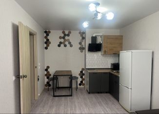 Квартира в аренду студия, 26 м2, Ростов-на-Дону, улица Висаитова, 10/9, ЖК Суворовский