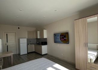 Сдается квартира студия, 30 м2, посёлок Парголово, Заречная улица