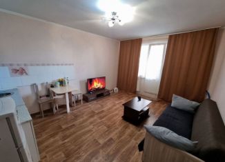 Сдача в аренду 1-комнатной квартиры, 25 м2, посёлок Шушары, Новгородский проспект, 4