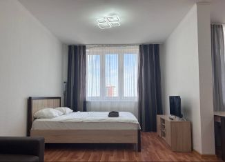 Сдается в аренду квартира студия, 43.5 м2, Екатеринбург, улица Белинского, 222, улица Белинского