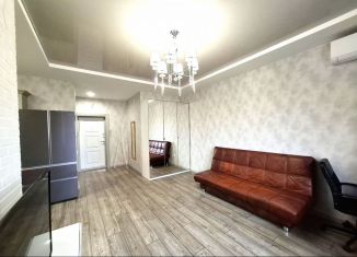 Продажа 1-комнатной квартиры, 46.1 м2, Краснодар, проспект Константина Образцова, 4к1, ЖК Янтарный 3